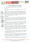 Vista preliminar de documento ordenanza_muni_17_2019_11102019