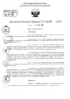 Vista preliminar de documento RDR 2230-2024