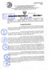Vista preliminar de documento R.D 02107-2022