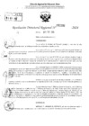 Vista preliminar de documento RDR 2232-2024