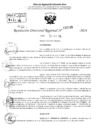 Vista preliminar de documento RDR 2233-2024
