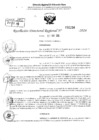 Vista preliminar de documento RDR 2234-2024