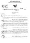 Vista preliminar de documento RDR 2235-2024