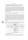 Vista preliminar de documento Anexo
