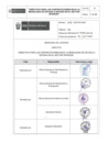 Vista preliminar de documento ANEXO 1156-2024-IN