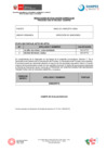 Vista preliminar de documento PROCESO CAS N040-2024