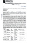 Vista preliminar de documento 3305