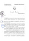 Vista preliminar de documento R.D. 799-2024 