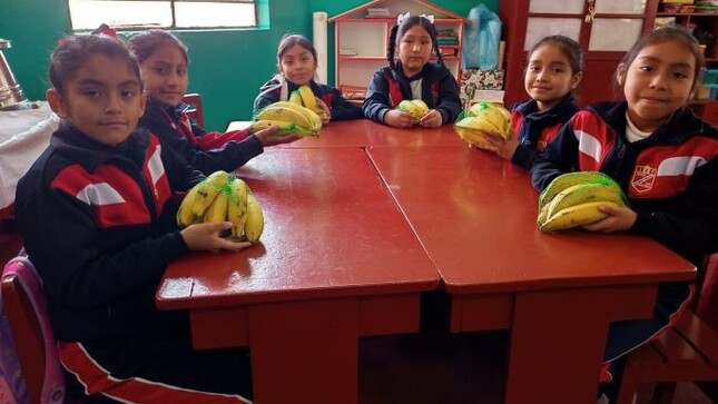 Alimentos frescos