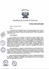 Vista preliminar de documento N°006-2019-APN-DIR