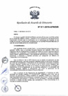 Vista preliminar de documento N°011-2019-APN-DIR