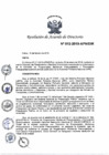 Vista preliminar de documento N°012-2019-APN-DIR