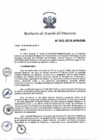 Vista preliminar de documento N°013-2019-APN-DIR