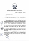 Vista preliminar de documento N°0016-2019-APN-DIR