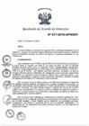Vista preliminar de documento N°017-2019-APN-DIR