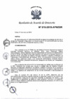 Vista preliminar de documento N°018-2019-APN-DIR