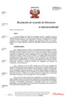 Vista preliminar de documento N°0035-2019-APN-DIR