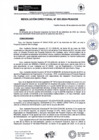 Vista preliminar de documento rd202-2024