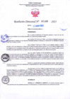 Vista preliminar de documento RD Nº001189 13-03-202307092023115908