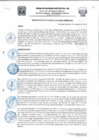Vista preliminar de documento Resolucion234_2020