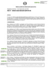 Vista preliminar de documento RDE-000219-2024-DE