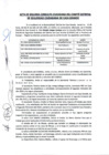 Vista preliminar de documento Acta de Segunda Consulta Ciudadana