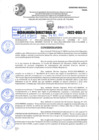 Vista preliminar de documento R.D 02174-2022