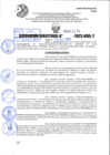Vista preliminar de documento R.D 02175-2022