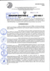 Vista preliminar de documento R.D 02178-2022