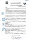 Vista preliminar de documento Resolucion244_2020