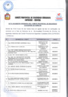 Vista preliminar de documento ACTA VIII SESION ORDINARIA DEL COMITÉ PROVINCIAL DE SEGURIDAD CIUDADANA DE CHINCHA