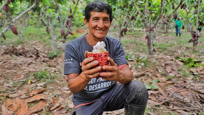 VRAEM CACAO PRODUCCION