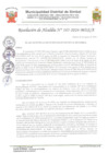 Vista preliminar de documento resolución 185