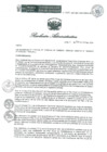 Vista preliminar de documento RA 062 OEA 2024