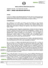 Vista preliminar de documento RDE-000221-2024-DE