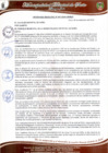 Vista preliminar de documento ORDENANZA MUNICIPAL N° 007-2024-CM-MDS
