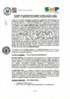 Vista preliminar de documento PJ