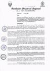 Vista preliminar de documento RDR-193