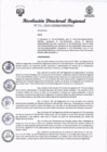 Vista preliminar de documento RDR-196