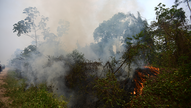 Gobierno regional activará Seguro Agrícola Catastrófico para los afectados por incendios forestales