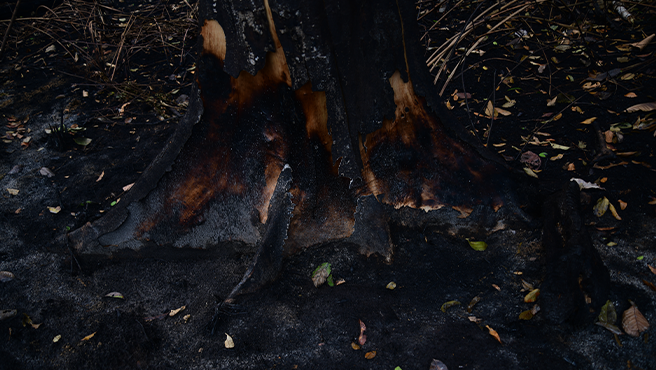 Gobierno regional activará Seguro Agrícola Catastrófico para los afectados por incendios forestales