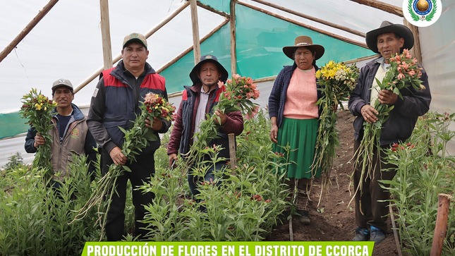 Produccion de Flores