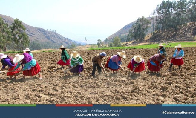 🌱 La Municipalidad Provincial de Cajamarca, en colaboración con el Instituto Nacional de Innovación Agraria (INIA), ha gestionado la provisión de semillas de pastos cultivados para la crianza de cuyes.
🍽️ El comedor popular "Rosa Blanca" es una organización social de base que recibe el apoyo de la Municipalidad Provincial de Cajamarca y el INIA para la crianza de cuyes. Esta gestión también abarca a otros tres comedores populares.
🌾 Se han distribuido 12.5 kilogramos de semillas para cada comedor, lo que permitirá sembrar un cuarto de hectárea de avena forrajera. Esta área sembrada proporcionará alimento suficiente para los cuyes. La elección de esta zona se debe a que cuenta con agua de riego, lo que asegura una buena producción y beneficiará directamente a las 150 personas de Huayllapampa Baja.