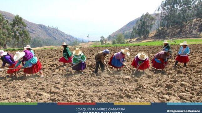 🌱 La Municipalidad Provincial de Cajamarca, en colaboración con el Instituto Nacional de Innovación Agraria (INIA), ha gestionado la provisión de semillas de pastos cultivados para la crianza de cuyes.
🍽️ El comedor popular "Rosa Blanca" es una organización social de base que recibe el apoyo de la Municipalidad Provincial de Cajamarca y el INIA para la crianza de cuyes. Esta gestión también abarca a otros tres comedores populares.
🌾 Se han distribuido 12.5 kilogramos de semillas para cada comedor, lo que permitirá sembrar un cuarto de hectárea de avena forrajera. Esta área sembrada proporcionará alimento suficiente para los cuyes. La elección de esta zona se debe a que cuenta con agua de riego, lo que asegura una buena producción y beneficiará directamente a las 150 personas de Huayllapampa Baja.