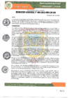 Vista preliminar de documento RESOLUCION GERENCIAL N° 10-2023