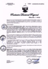 Vista preliminar de documento 0490-2024GOB-REG-HVCADIRESA