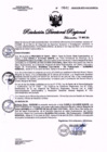 Vista preliminar de documento 0642-2024GOB-REG-HVCADIRESA