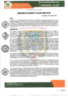 Vista preliminar de documento RESOLUCION GERENCIAL N° 12-2023