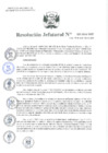 Vista preliminar de documento Resolución Jefatural N.° 220-2024-INEI