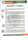 Vista preliminar de documento RESOLUCION GERENCIAL N° 17-2023